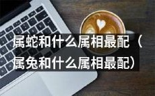 属蛇的人适合和哪些属相的人搭配最好?