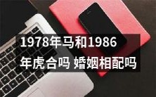 1978年出生的马与1986年出生的虎适合结婚吗?他们的个性是否相容?