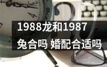 1988年的龙和1987年的兔是否适合结婚?他们的婚姻匹配是否和谐?