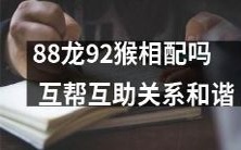 88龙92猴能否和谐相处并建立互帮互助关系?