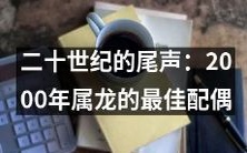 在20世纪世纪末,属龙的人最佳配偶之谜:探寻2000年的答案