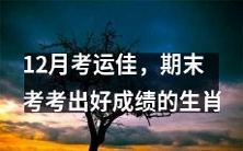 哪些生肖在12月的期末考中可能迎来好运,取得突出成绩呢?