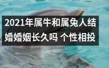 2021年属牛和属兔人的婚姻关系,是否会因为个性相投而长久稳定?