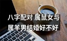 根据八字配对分析,属鼠女与属羊男是否适合结婚?