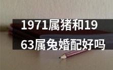 1971年属猪和1963年属兔之间的婚配是否适合?