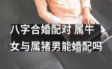 根据八字合婚学说,考虑到性格、运势等因素,您认为属牛女与属猪男是否适合进行婚配?