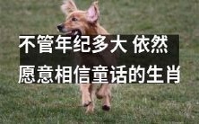无论年龄如何增长,这些生肖依然坚信童话故事的魔力