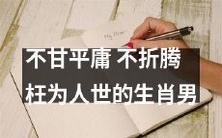 决不平庸,全力折腾:探索生命精华的决心与热情,生肖男的不凡故事