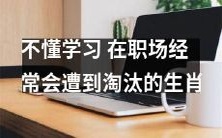 十二生肖中,缺乏学习意愿的人,往往在职场中频繁遭到淘汰