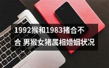 属相配对:男猴女猪婚姻状况考察,1992年猴和1983年猪是否匹配?