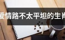 12个生肖女中,经历爱情起伏的女人们,权衡爱情与现实,最终掌握属于自己的幸福经验