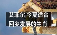 艾菲尔:2021年夏季的适宜回乡发展的生肖推荐指南