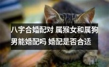 研究八字合婚配对:属猴女和属狗男是否能够婚配,是否合适?