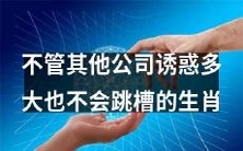 坚守本职工作,不会因其他公司的诱惑而轻易跳槽的生肖大盘点