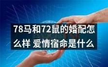 爱情宿命:探析78马和72鼠的婚配符合先天命格与历史轨迹的可能性及其影响因素