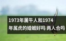 1973年属牛人和1974年属虎的婚姻是否合适?这样的年龄差异和属相组合是否会影响两人的感情生活?