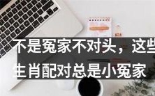 或许是宿敌缘份?这些生肖配对总是小小的冤家