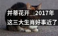 并蒂花开:预示2017年的好运即将降临这三大生肖