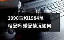 1990年出生的马与1984年出生的鼠是否有婚配潜力,其现实情况如何?