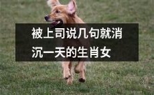 生肖女的敏感脆弱:一句上司的批评足以让她情绪消沉整整一天