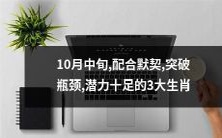 能够在10月中旬默契配合、突破瓶颈、潜力十足的三大生肖是什么?