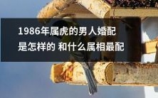 1986年属虎男性的婚姻匹配方式如何以及哪些属相最为匹配