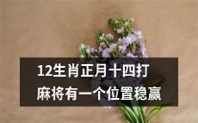 携12生肖闯天下:揭秘正月十四麻将必胜法,掌握一技稳赢的独家位置攻略!