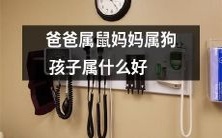 爸爸以鼠为属相,妈妈以狗为属相,那么应该如何选择孩子的属相更好呢?