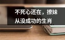 永不放弃,历经失败的多次撩妹却无果的生肖人