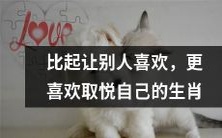 为自己而生:选择取悦自己而非迎合他人的生肖态度