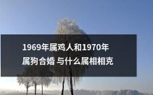1969年属鸡人与1970年属狗合婚中,需要注意哪些属相的相克关系?