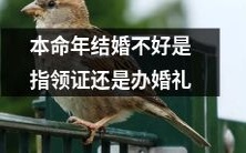 结婚时是否应该避开本命年,包括领证和举办婚礼?