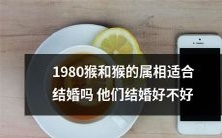 猴年出生的人和同属相的猴是否适宜结婚?他们之间的婚姻会是一个好决定吗?