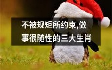 排除约束,自由随性做事的三大生肖