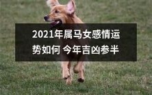 2021年属马女的感情运势会如何?今年的吉凶参半状况与命运的不确定性将如何影响她们的情感生活?