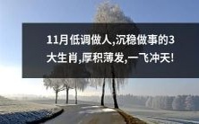 密谋冬季发展计划:11月低调处事的三大生肖,以沉稳态度铸就成功,积蓄力量迎接一飞冲天的未来!