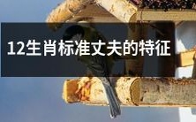 揭秘12生肖中具备成为标准丈夫特征的秘诀