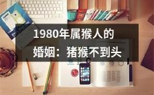 1980年属猴人的婚姻:猪年猴命配对问题之猪猴相冲,如何避免婚姻矛盾?