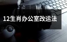 如何利用12生肖改变办公室的运势?