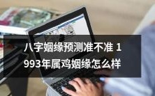 1993年属鸡的八字姻缘预测是否准确?想了解属鸡人姻缘运势的详细情况吗?
