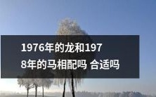 1976年生肖龙与1978年生肖马的属相配合是否相宜?