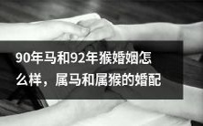 如何评价90年马与92年猴的婚姻匹配度?从星座学角度探讨属马与属猴的婚姻妥协与默契