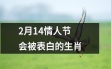 十二生肖中有哪些会在2月14日情人节被表白呢?