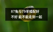 能否让87兔和79羊进行跨物种婚配,并克服潜在的挑战和障碍,最终实现真爱在一起的愿望?