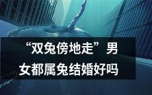 是否适合双兔傍地走者结婚?男女双方属兔的婚姻是否能够长久幸福?