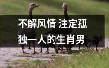 缺乏浪漫情感的生肖男注定孤独一生:探索不同星座男性的爱情观与表现方式