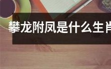 攀龙附凤是哪个生肖的传统象征,具体代表着什么意义?
