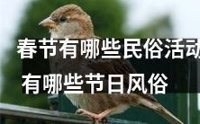 活动是如何庆祝中国春节的?传统的节日习俗有哪些呢?