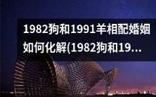 如何处理1982年出生的狗和1991年出生的羊相配婚姻的问题?