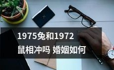 1975年属兔与1972年属鼠是否存在冲动的关系,以及两者婚姻生活如何相处?